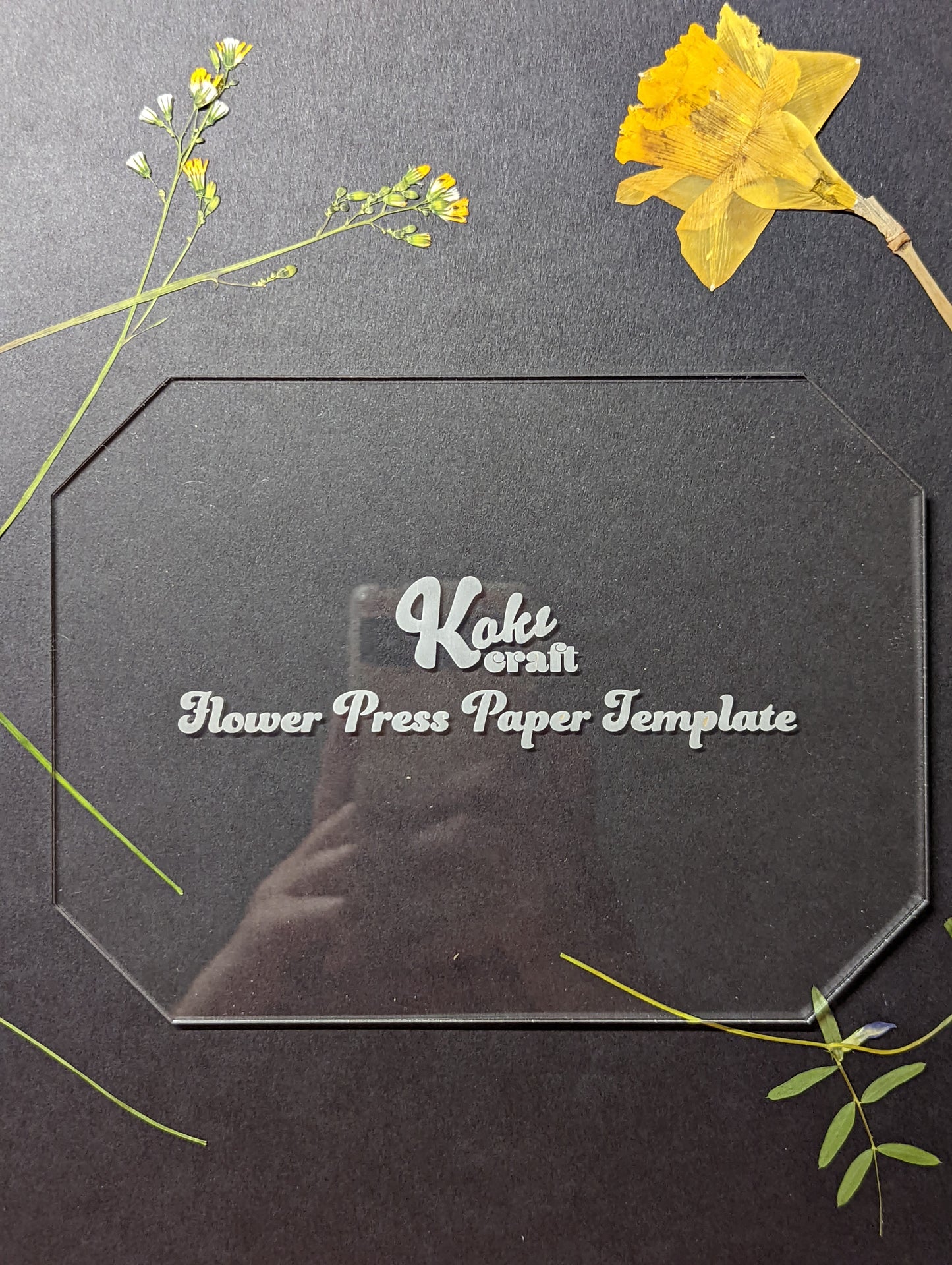 Acrylic Flower Press Paper Template | Acrylic Template for Flower Press Paper Tracing | Tracing Template | Blotting Paper Template
