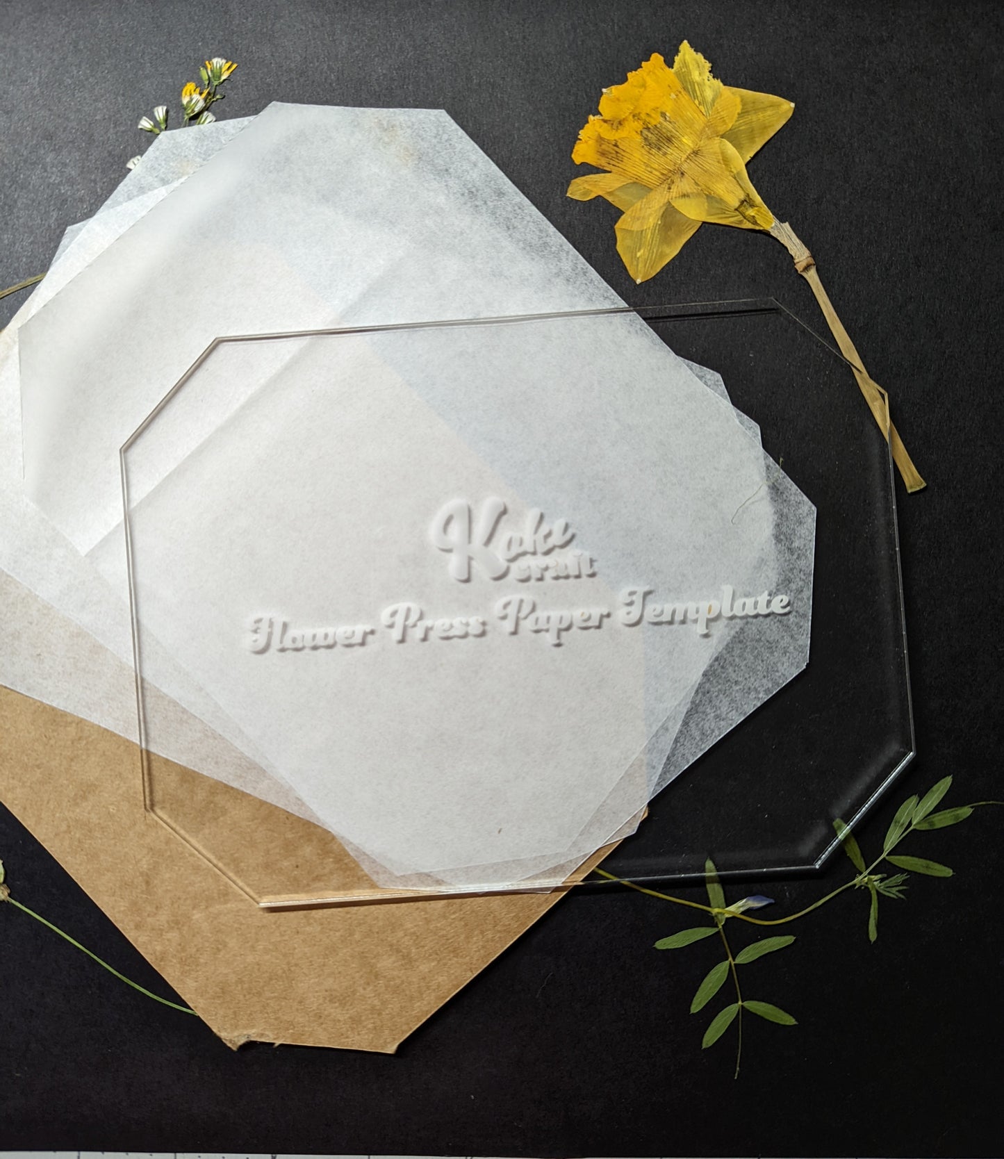 Acrylic Flower Press Paper Template | Acrylic Template for Flower Press Paper Tracing | Tracing Template | Blotting Paper Template