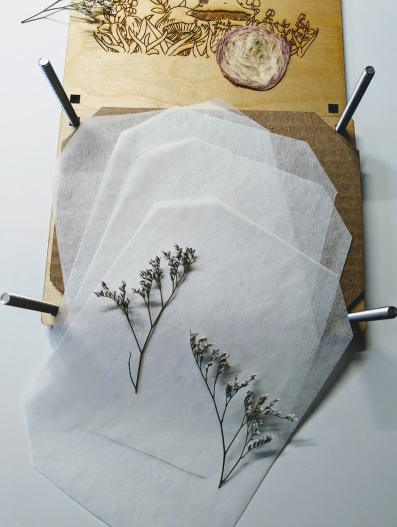 Extra Blotting Paper | Flower Press Paper